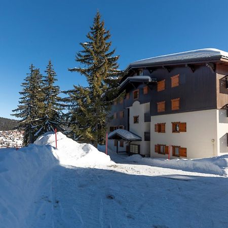 Residence La Foret Des Rennes - Les Saisies Villard-sur-Doron Exteriör bild